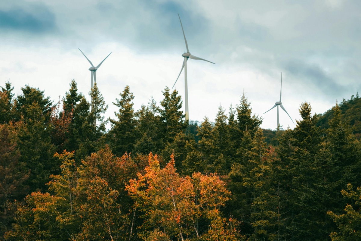 Mehrere Gebiete im Weinland eignen sich aus Sicht des Kantons Zürich gut für grössere Windkraftanlagen.