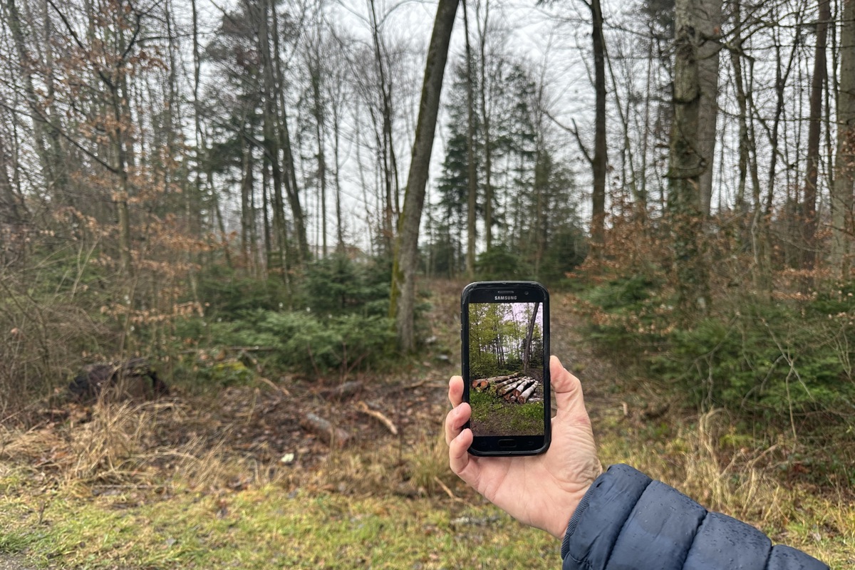 Am Tatort weisen praktisch keine Spuren auf die Abräumaktion hin.