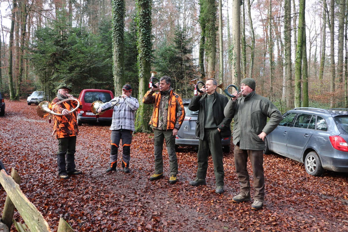 Viele Redewendungen haben einen jagdlichen Ursprung. So zum Beispiel der Ausdruck «eine Veranstaltung abblasen». Jäger verständigen sich über ihr Horn