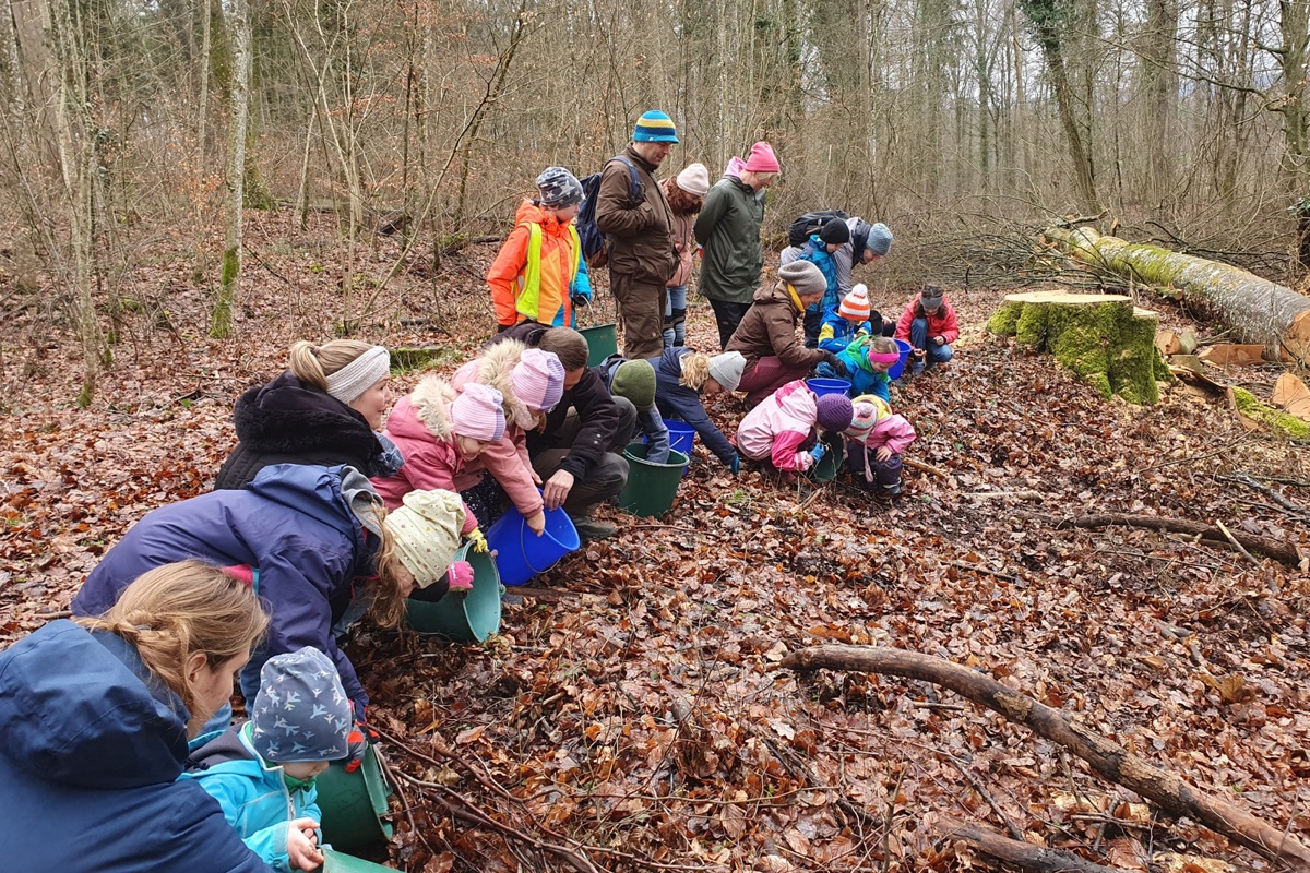 Am Ende des Morgens werden alle Tiere gleichzeitig in den Wald entlassen.