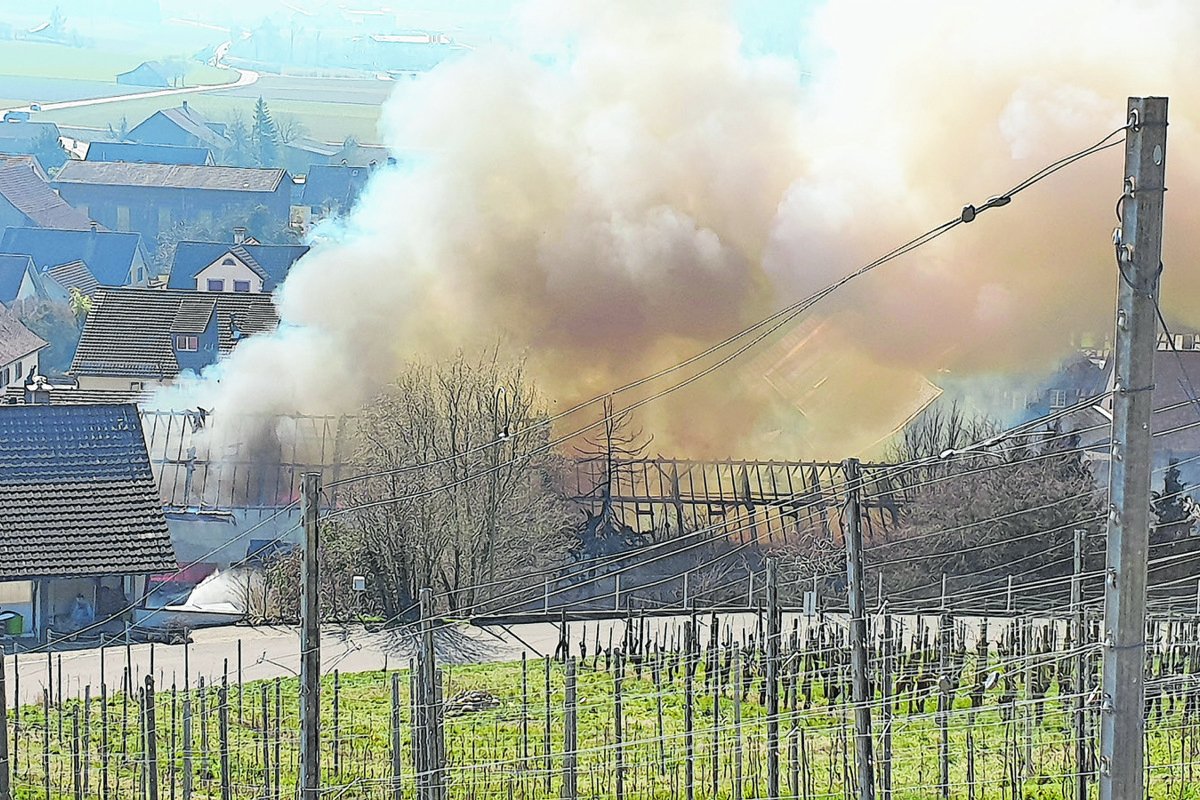 Der Brand im März 2022 in Oberstammheim war finanziell in jenem Jahr das fünftgrösste Ereignis im Kanton.