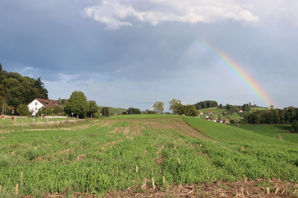 Ein Symbol wie bestellt – die Vollversammlung nach dem Standortvorschlag startete unter einem Regenbogen.