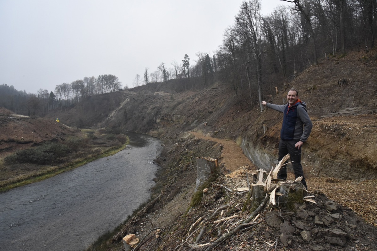 Vor vier Wochen noch Wald