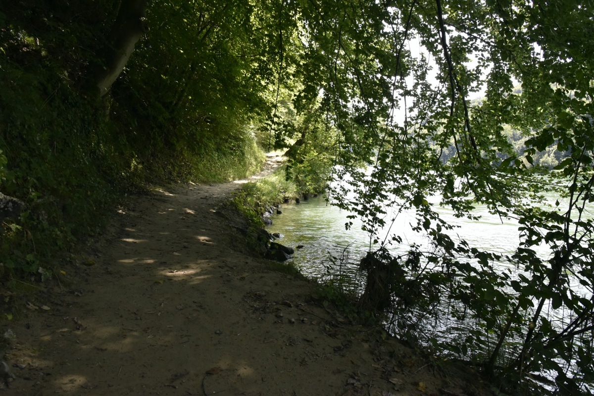 Mal führt der Weg von Rüdlingen zur Tössegg direkt am Wasser entlang